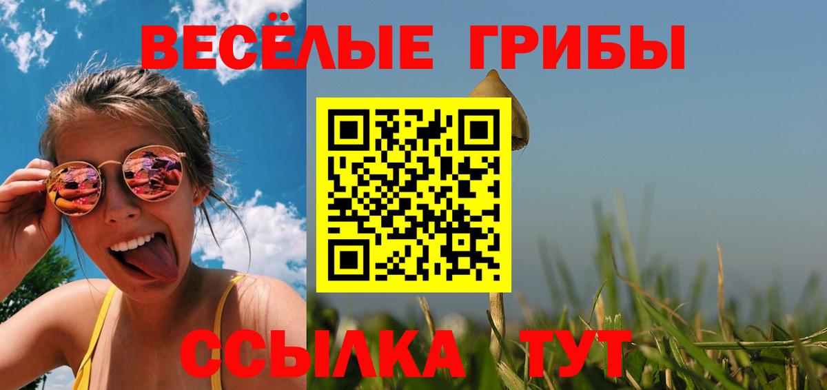 Псилоцибиновые грибы Magic Shrooms  Вход с VPN  Соль-Илецк 